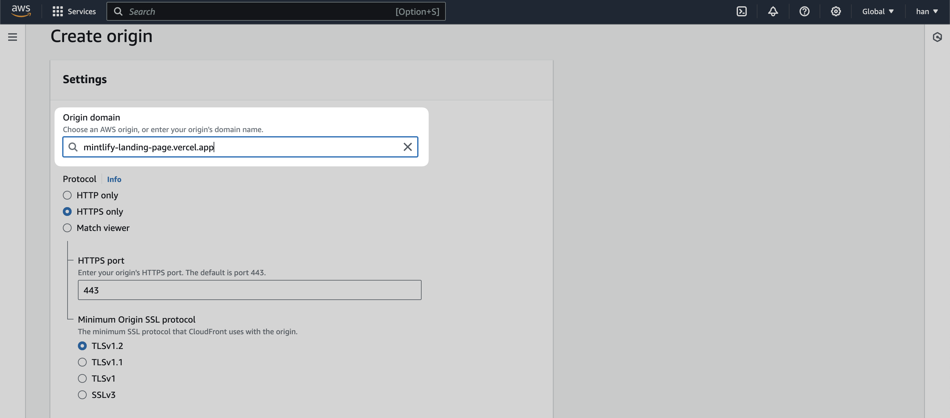 CloudFront "Create origin" page with a "Origin domain" input field highlighted.